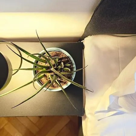 Sweet Dreams Peaceful Flat Piata Romana Apartman *